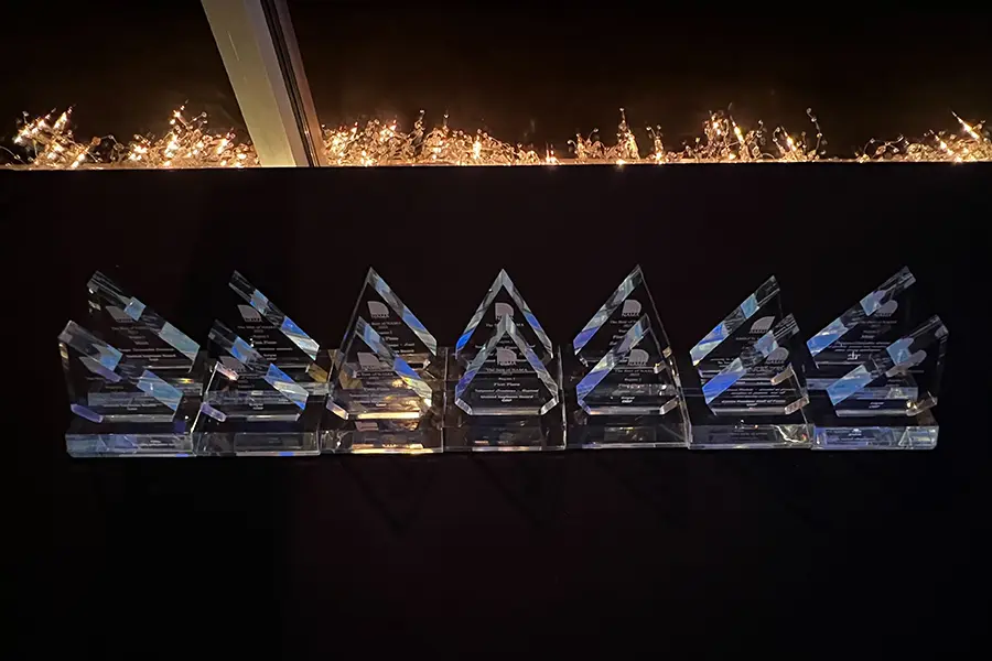 14 Best of NAMA Regional awards sit atop a table.